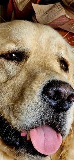 20240413_172009_copy_349x747.jpg 20240413_172009_copy_349x747.jpg