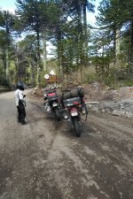 IMG_20181113_1451355.jpg IMG_20181113_1451355.jpg