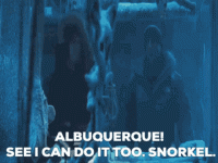 albuquerque.gif
