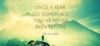 Screenshot_20240504_071333_Gallery_copy_1600x746.jpg Screenshot_20240504_071333_Gallery_copy_1600x746.jpg