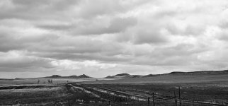 20240419_114118_copy_1600x747.jpg 20240419_114118_copy_1600x747.jpg