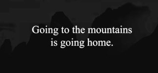 Screenshot_20240510_111711_Gallery.jpg Screenshot_20240510_111711_Gallery.jpg