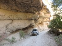 P5010231.JPG P5010231.JPG