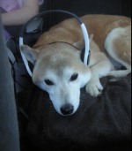 Screenshot 2024-05-13 155221.png Screenshot 2024-05-13 155221.png