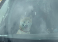 Screenshot 2024-05-13 155430.png Screenshot 2024-05-13 155430.png