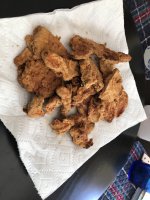 IMG_9937.JPG IMG_9937.JPG