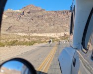 PXL_20231002_235132126.MP.jpg PXL_20231002_235132126.MP.jpg