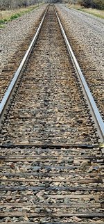 20240508_165717_copy_349x747.jpg 20240508_165717_copy_349x747.jpg