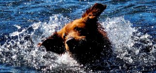 Screenshot_20240511_202540_Gallery_copy_1600x747.jpg Screenshot_20240511_202540_Gallery_copy_1600x747.jpg