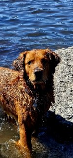 20240511_112827_copy_349x747.jpg 20240511_112827_copy_349x747.jpg