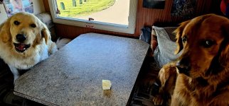 20240510_192314_copy_1600x747.jpg 20240510_192314_copy_1600x747.jpg