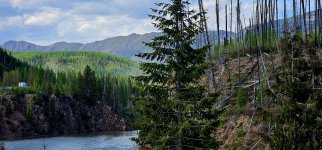 20240511_175719_copy_1600x747.jpg 20240511_175719_copy_1600x747.jpg