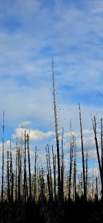 20240511_195232_copy_349x747.jpg 20240511_195232_copy_349x747.jpg