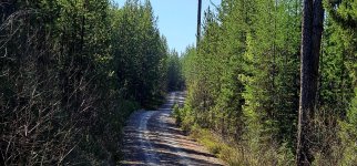 20240512_102140_copy_1600x747.jpg 20240512_102140_copy_1600x747.jpg