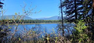 20240512_104426_copy_1600x747.jpg 20240512_104426_copy_1600x747.jpg