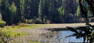 20240512_104354_copy_1600x747.jpg 20240512_104354_copy_1600x747.jpg