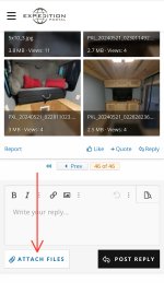 IMG_3994.jpeg IMG_3994.jpeg