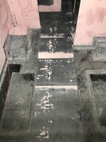 IMG_0937.jpeg IMG_0937.jpeg