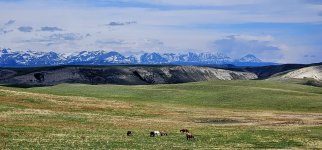 20240513_103123_copy_1600x747.jpg 20240513_103123_copy_1600x747.jpg