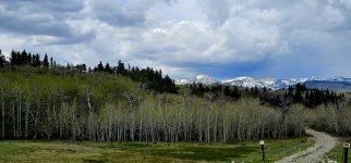 20240513_104850_copy_1600x747.jpg 20240513_104850_copy_1600x747.jpg