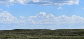 20240513_112029_copy_1600x747.jpg 20240513_112029_copy_1600x747.jpg