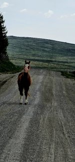 20240513_115023_copy_349x747.jpg 20240513_115023_copy_349x747.jpg