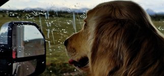 20240513_115247_copy_1600x747.jpg 20240513_115247_copy_1600x747.jpg