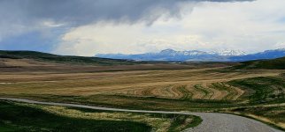 20240513_133241_copy_1600x747.jpg 20240513_133241_copy_1600x747.jpg