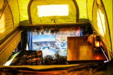 wharton dr.sammi -21.jpg wharton dr.sammi -21.jpg