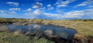 20240513_184439_copy_1600x747.jpg 20240513_184439_copy_1600x747.jpg