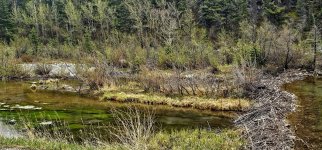 20240514_114451_copy_1600x747.jpg 20240514_114451_copy_1600x747.jpg