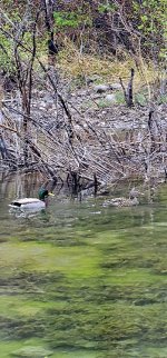 20240514_114511_copy_349x747.jpg 20240514_114511_copy_349x747.jpg