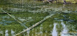 20240514_122203_copy_1600x747.jpg 20240514_122203_copy_1600x747.jpg