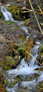 20240514_122725_copy_349x747.jpg 20240514_122725_copy_349x747.jpg