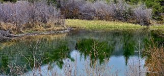 20240514_124007_copy_1600x747.jpg 20240514_124007_copy_1600x747.jpg