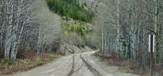 20240514_130016_copy_1600x747.jpg 20240514_130016_copy_1600x747.jpg