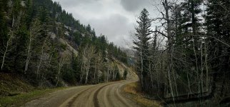 20240514_125515_copy_1600x747.jpg 20240514_125515_copy_1600x747.jpg