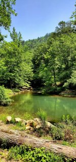 20240526_115046.jpg 20240526_115046.jpg