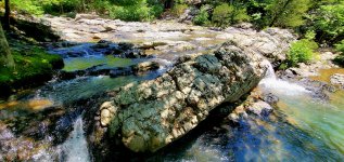 20240527_122809.jpg 20240527_122809.jpg