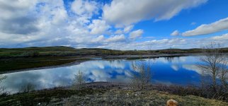 20240514_171110_copy_1600x747.jpg 20240514_171110_copy_1600x747.jpg