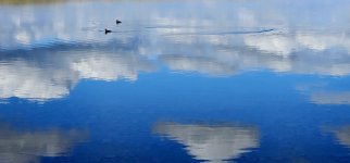 20240514_172234_copy_1600x747.jpg 20240514_172234_copy_1600x747.jpg