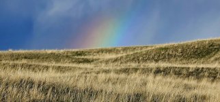 20240514_191115_copy_1600x747.jpg 20240514_191115_copy_1600x747.jpg