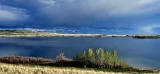 20240514_191636_copy_1600x747.jpg 20240514_191636_copy_1600x747.jpg