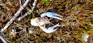 20240514_172434_copy_1600x747.jpg 20240514_172434_copy_1600x747.jpg