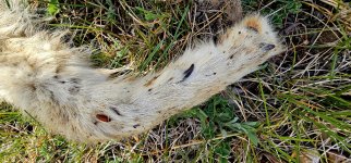 20240515_095902_copy_1600x747.jpg 20240515_095902_copy_1600x747.jpg