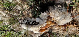 20240515_095931_copy_1600x747.jpg 20240515_095931_copy_1600x747.jpg