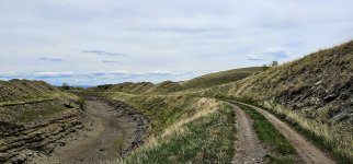 20240515_130536_copy_1600x747.jpg 20240515_130536_copy_1600x747.jpg