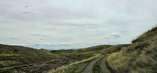 20240515_130502_copy_1600x747.jpg 20240515_130502_copy_1600x747.jpg