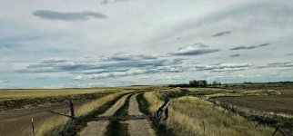 20240515_132029_copy_1600x747.jpg 20240515_132029_copy_1600x747.jpg