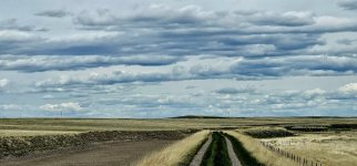 20240515_132245_copy_1600x747.jpg 20240515_132245_copy_1600x747.jpg